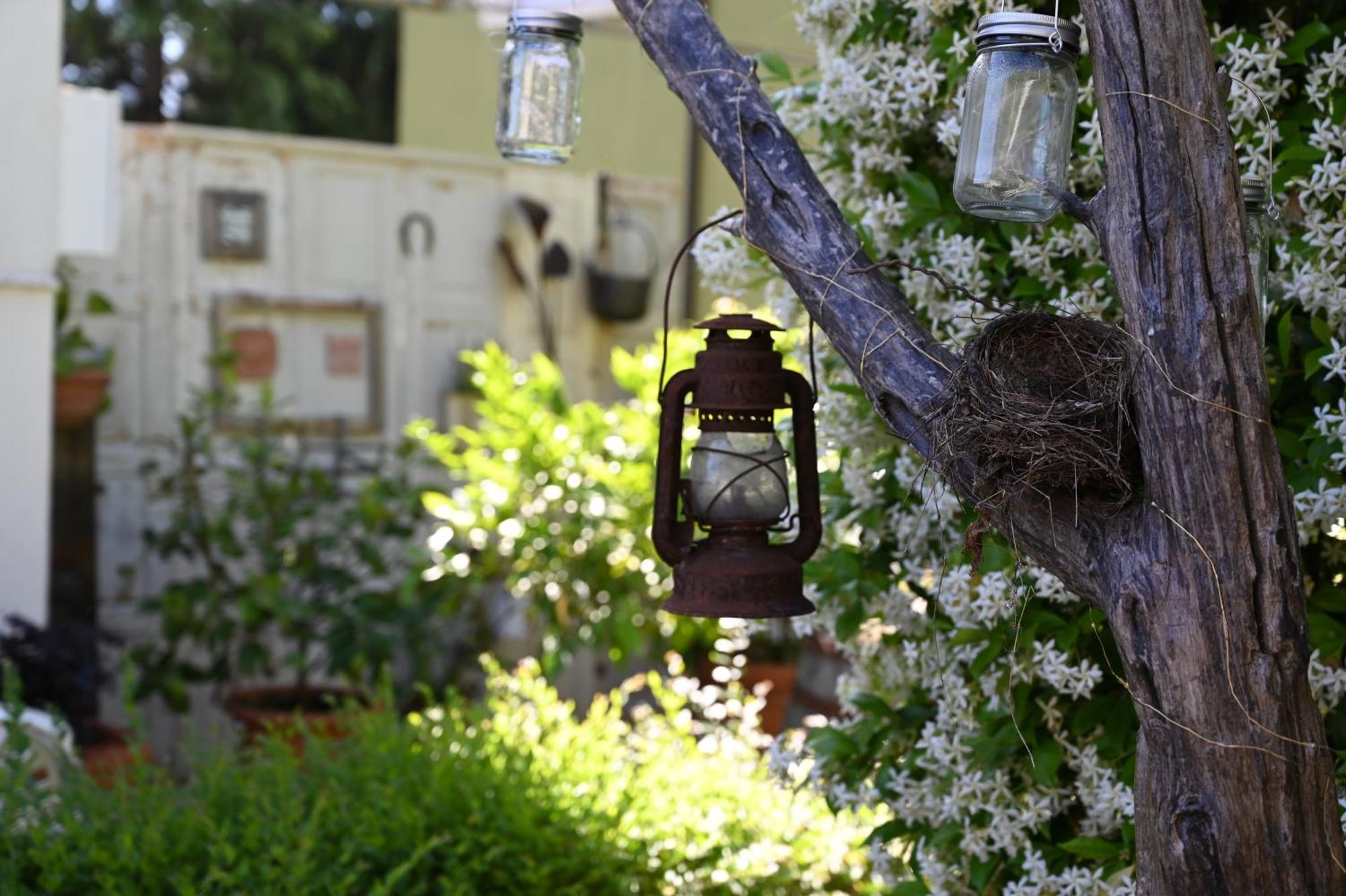 Bed and Breakfast La Garampa Чезена Экстерьер фото